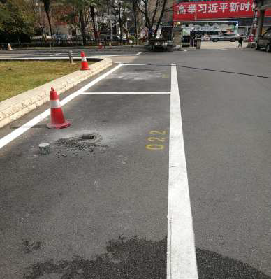 杭州道路公共泊位智慧停车项目