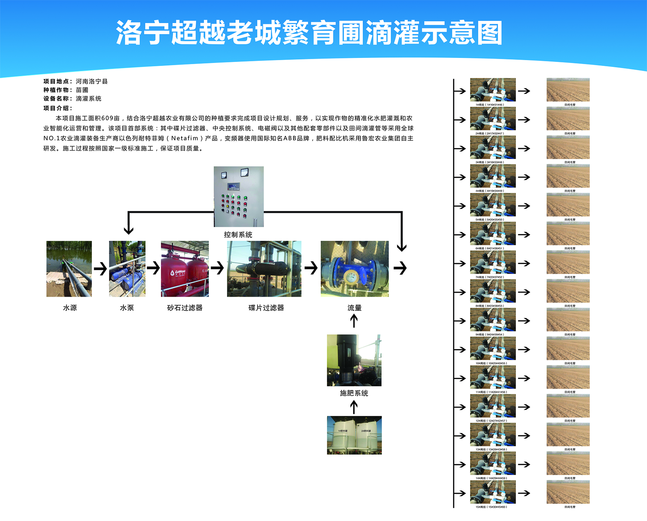 洛宁超越老城繁育圃滴灌工程