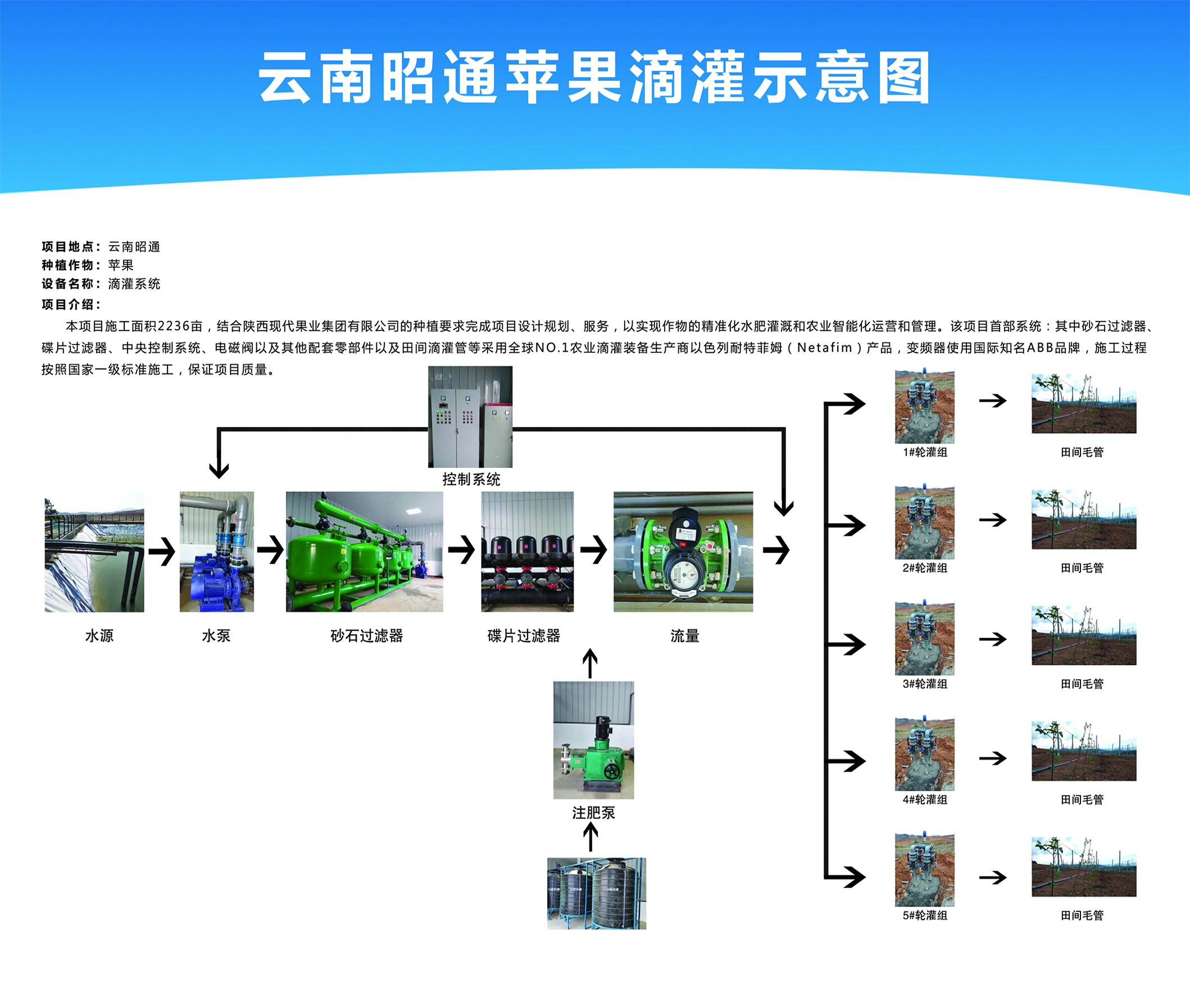 云南昭通苹果滴灌工程